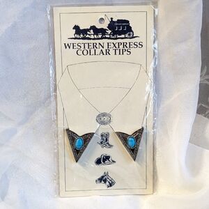 Silver and Turquoise Collar Tips